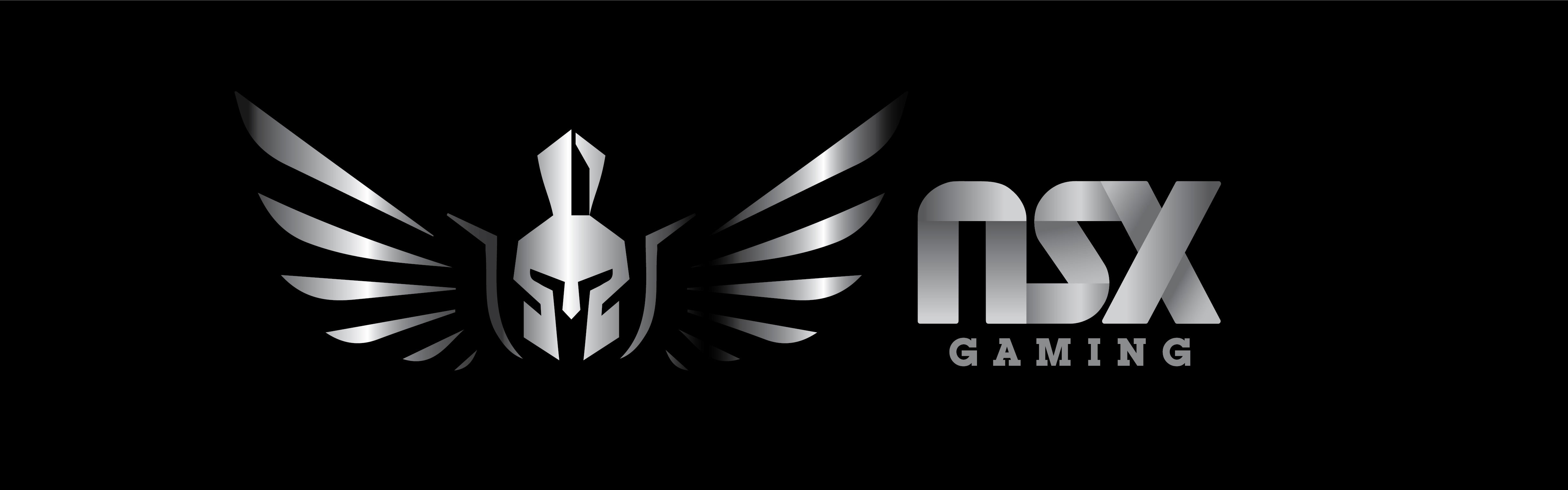 NSX Gaming | Buy high-quality gaming technology